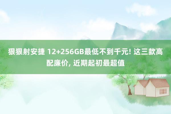 狠狠射安捷 12+256GB最低不到千元! 这三款高配廉价, 近期起初最超值