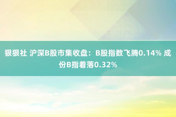狠狠社 沪深B股市集收盘：B股指数飞腾0.14% 成份B指着落0.32%