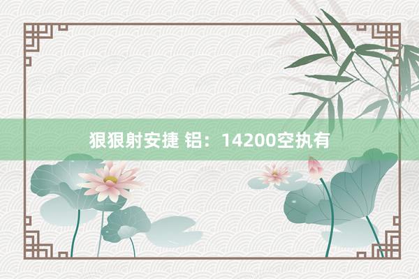狠狠射安捷 铝：14200空执有