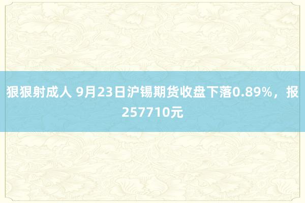 狠狠射成人 9月23日沪锡期货收盘下落0.89%，报257710元