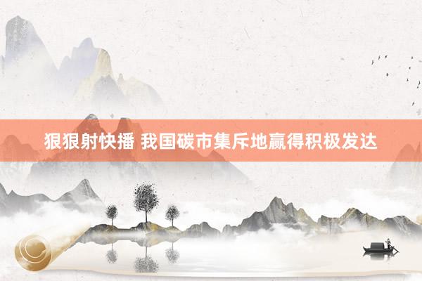 狠狠射快播 我国碳市集斥地赢得积极发达
