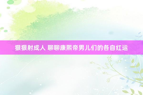 狠狠射成人 聊聊康熙帝男儿们的各自红运