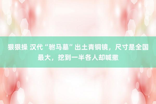 狠狠操 汉代“驸马墓”出土青铜镜，尺寸是全国最大，挖到一半各人却喊撤