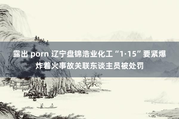 露出 porn 辽宁盘锦浩业化工“1·15”要紧爆炸着火事故关联东谈主员被处罚