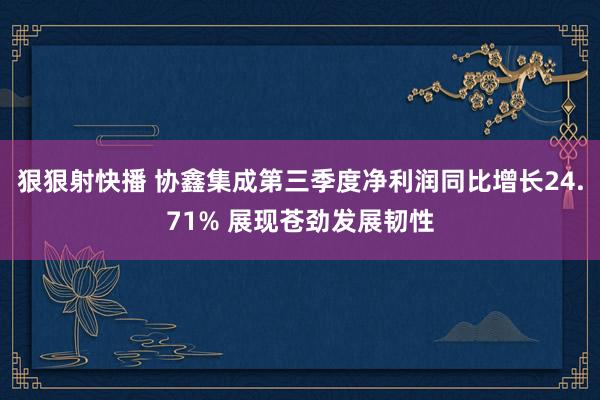 狠狠射快播 协鑫集成第三季度净利润同比增长24.71% 展现苍劲发展韧性
