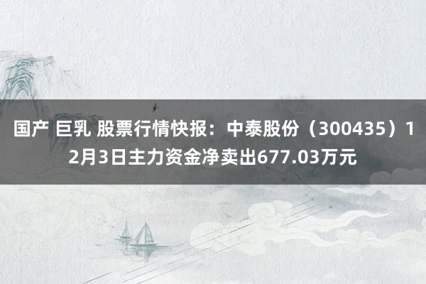 国产 巨乳 股票行情快报：中泰股份（300435）12月3日主力资金净卖出677.03万元