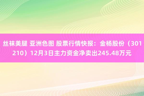 丝袜美腿 亚洲色图 股票行情快报：金杨股份（301210）12月3日主力资金净卖出245.48万元