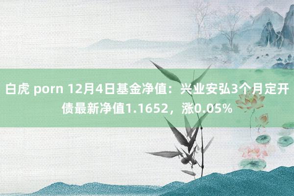 白虎 porn 12月4日基金净值：兴业安弘3个月定开债最新净值1.1652，涨0.05%