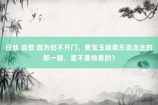 白丝 自慰 因为拍不开门，贾宝玉踹袭东说念主的那一脚，是不是特意的？