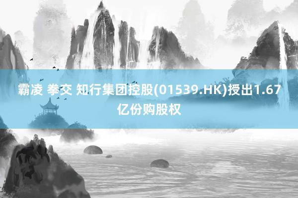 霸凌 拳交 知行集团控股(01539.HK)授出1.67亿份购股权