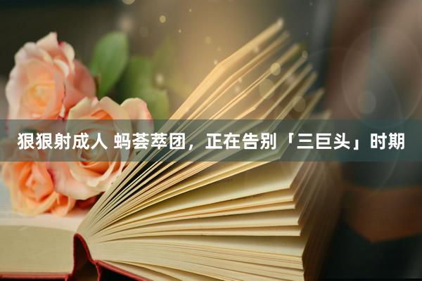 狠狠射成人 蚂荟萃团，正在告别「三巨头」时期