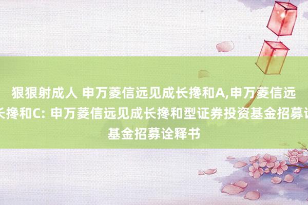 狠狠射成人 申万菱信远见成长搀和A,申万菱信远见成长搀和C: 申万菱信远见成长搀和型证券投资基金招募诠释书