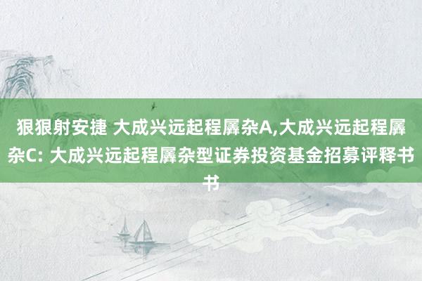 狠狠射安捷 大成兴远起程羼杂A,大成兴远起程羼杂C: 大成兴远起程羼杂型证券投资基金招募评释书