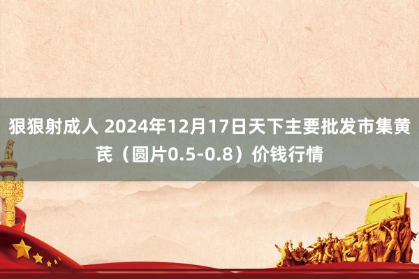 狠狠射成人 2024年12月17日天下主要批发市集黄芪（圆片0.5-0.8）价钱行情
