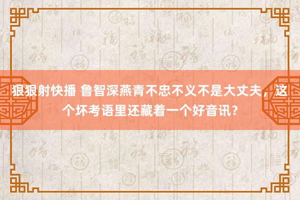 狠狠射快播 鲁智深燕青不忠不义不是大丈夫，这个坏考语里还藏着一个好音讯？