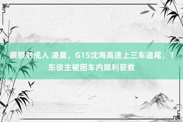 狠狠射成人 凌晨，G15沈海高速上三车追尾，1东谈主被困车内顺利获救