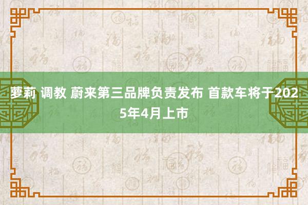 萝莉 调教 蔚来第三品牌负责发布 首款车将于2025年4月上市