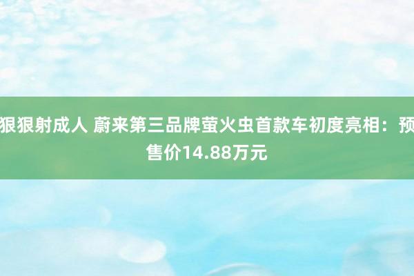 狠狠射成人 蔚来第三品牌萤火虫首款车初度亮相：预售价14.88万元