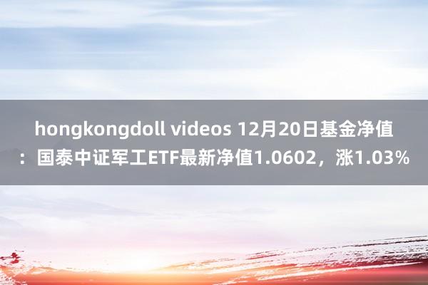 hongkongdoll videos 12月20日基金净值：国泰中证军工ETF最新净值1.0602，涨1.03%