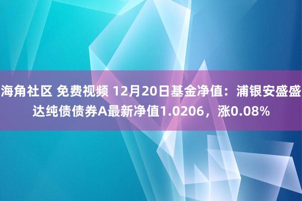 海角社区 免费视频 12月20日基金净值：浦银安盛盛达纯债债券A最新净值1.0206，涨0.08%
