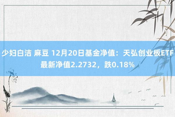 少妇白洁 麻豆 12月20日基金净值：天弘创业板ETF最新净值2.2732，跌0.18%