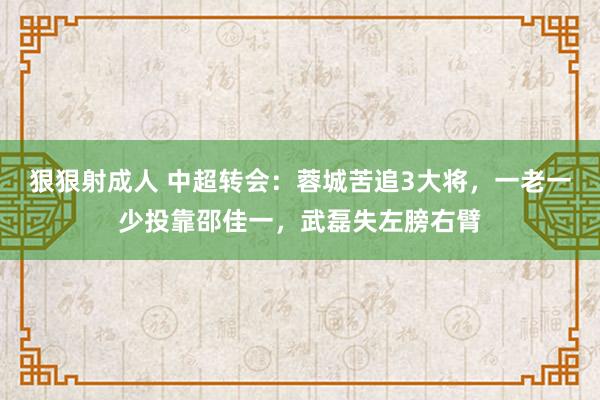 狠狠射成人 中超转会：蓉城苦追3大将，一老一少投靠邵佳一，武磊失左膀右臂