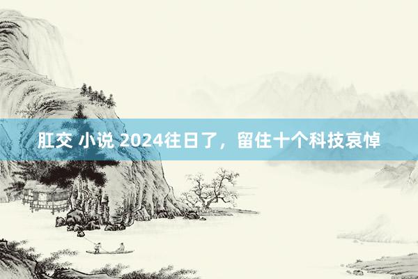 肛交 小说 2024往日了，留住十个科技哀悼