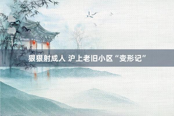 狠狠射成人 沪上老旧小区“变形记”