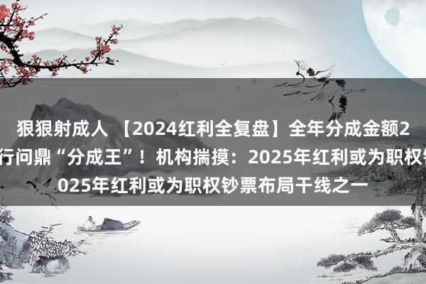 狠狠射成人 【2024红利全复盘】全年分成金额2.39万亿，工商银行问鼎“分成王”！机构揣摸：2025年红利或为职权钞票布局干线之一