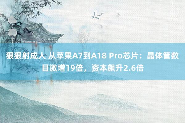 狠狠射成人 从苹果A7到A18 Pro芯片：晶体管数目激增19倍，资本飙升2.6倍