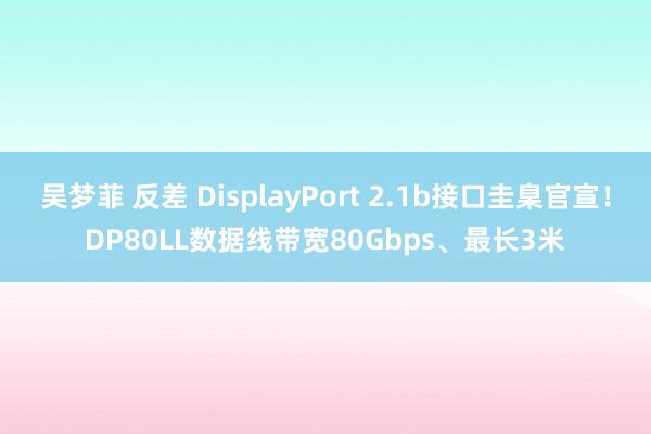 吴梦菲 反差 DisplayPort 2.1b接口圭臬官宣！DP80LL数据线带宽80Gbps、最长3米