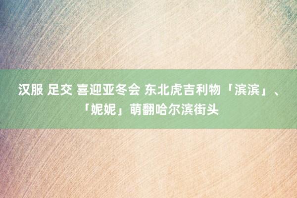 汉服 足交 喜迎亚冬会 东北虎吉利物「滨滨」、「妮妮」萌翻哈尔滨街头