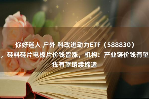 你好迷人 户外 科改进动力ETF（588830）盘中飘红，硅料硅片电板片价钱皆涨，机构：产业链价钱有望络续缔造