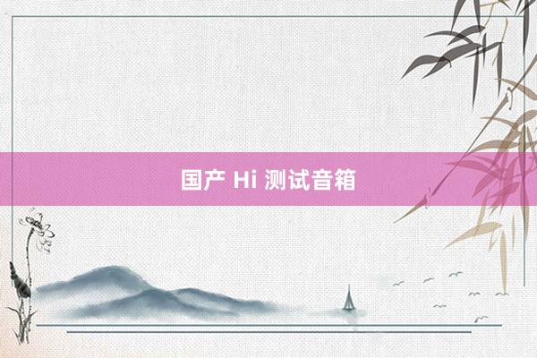 国产 Hi 测试音箱