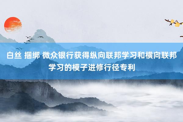 白丝 捆绑 微众银行获得纵向联邦学习和横向联邦学习的模子进修行径专利
