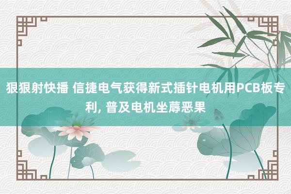 狠狠射快播 信捷电气获得新式插针电机用PCB板专利, 普及电机坐蓐恶果