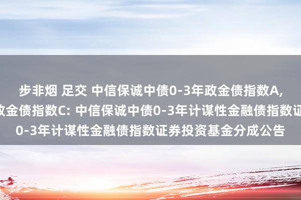 步非烟 足交 中信保诚中债0-3年政金债指数A,中信保诚中债0-3年政金债指数C: 中信保诚中债0-3年计谋性金融债指数证券投资基金分成公告