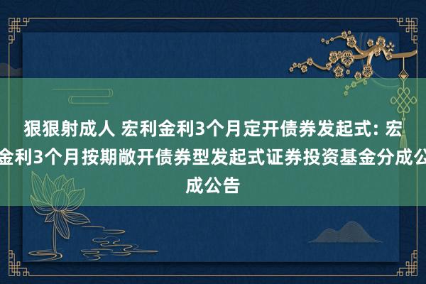 狠狠射成人 宏利金利3个月定开债券发起式: 宏利金利3个月按期敞开债券型发起式证券投资基金分成公告
