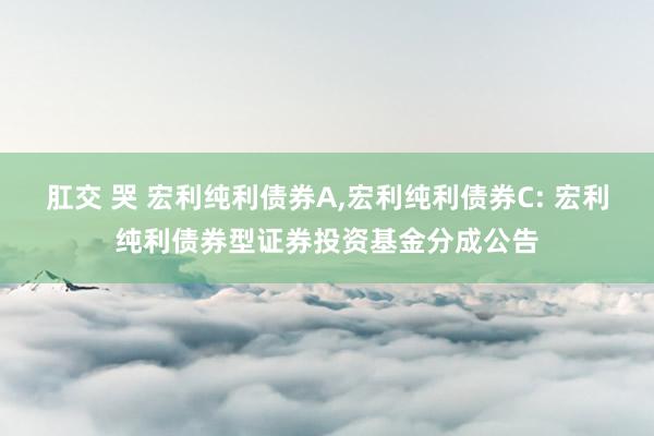 肛交 哭 宏利纯利债券A,宏利纯利债券C: 宏利纯利债券型证券投资基金分成公告