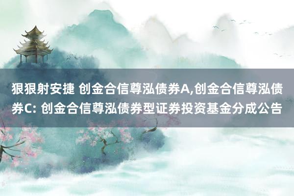 狠狠射安捷 创金合信尊泓债券A,创金合信尊泓债券C: 创金合信尊泓债券型证券投资基金分成公告