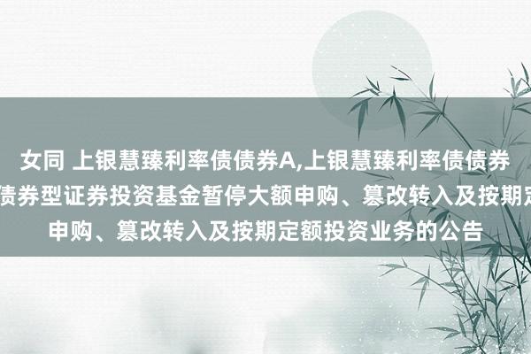 女同 上银慧臻利率债债券A,上银慧臻利率债债券C: 上银慧臻利率债债券型证券投资基金暂停大额申购、篡改转入及按期定额投资业务的公告