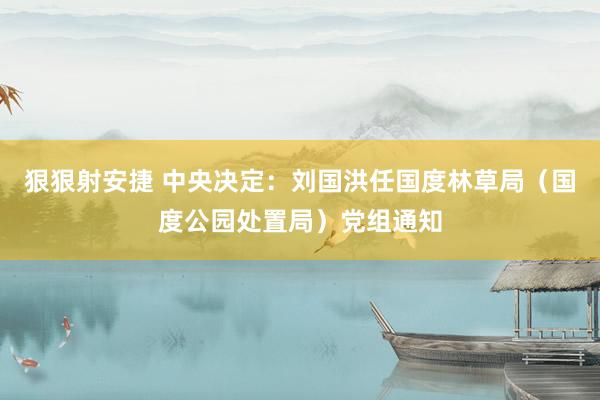 狠狠射安捷 中央决定：刘国洪任国度林草局（国度公园处置局）党组通知