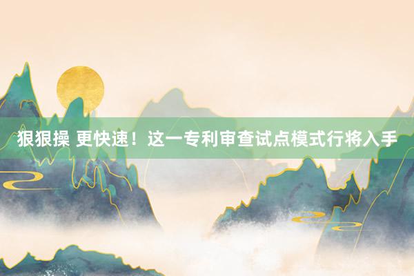 狠狠操 更快速！这一专利审查试点模式行将入手