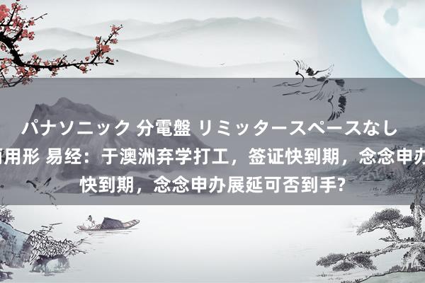 パナソニック 分電盤 リミッタースペースなし 露出・半埋込両用形 易经：于澳洲弃学打工，签证快到期，念念申办展延可否到手?