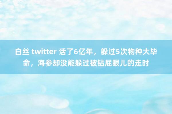 白丝 twitter 活了6亿年，躲过5次物种大毕命，海参却没能躲过被钻屁眼儿的走时
