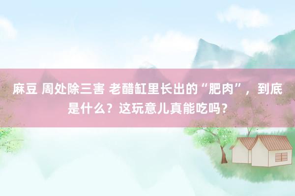 麻豆 周处除三害 老醋缸里长出的“肥肉”，到底是什么？这玩意儿真能吃吗？