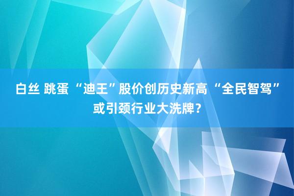白丝 跳蛋 “迪王”股价创历史新高 “全民智驾”或引颈行业大洗牌？