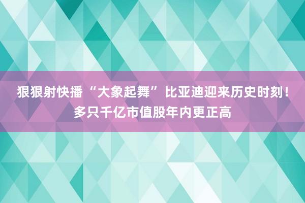 狠狠射快播 “大象起舞” 比亚迪迎来历史时刻！多只千亿市值股年内更正高