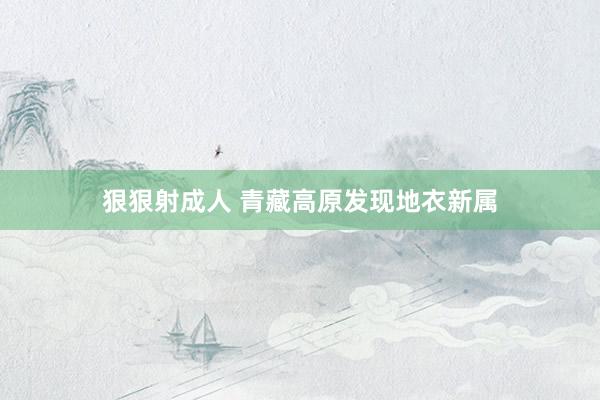 狠狠射成人 青藏高原发现地衣新属