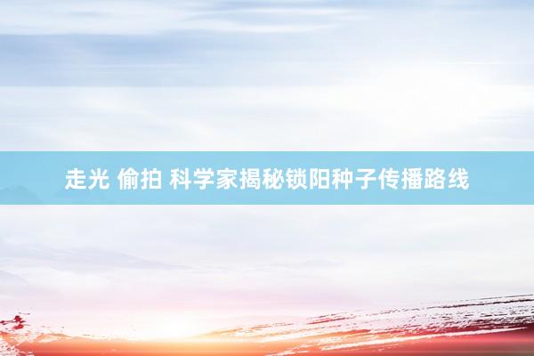 走光 偷拍 科学家揭秘锁阳种子传播路线